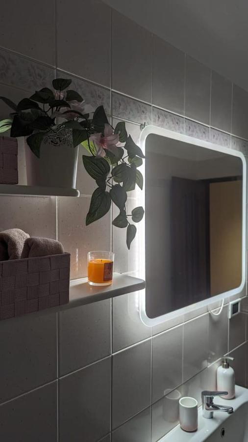Apartamento La Terrazza Del Re Vercelli Exterior foto
